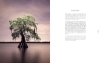 Buchcover und Innenansicht für das Buch: American Amazon
