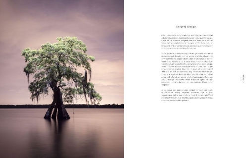 Buchcover und Innenansicht für das Buch: American Amazon