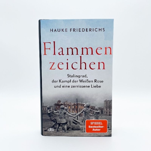 Buchcover und Innenansicht für das Buch: Flammenzeichen