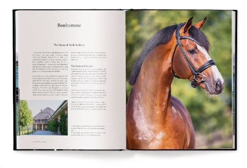 Buchcover und Innenansicht für das Buch: Equestrian