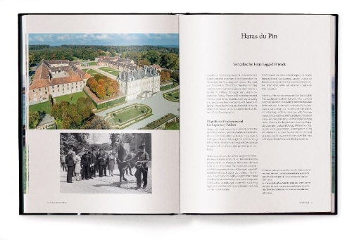 Buchcover und Innenansicht für das Buch: Equestrian