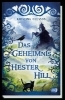 Buchcover und Innenansicht für das Buch: Mysteriet pa Hester Hill