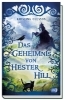 Buchcover und Innenansicht für das Buch: Mysteriet pa Hester Hill