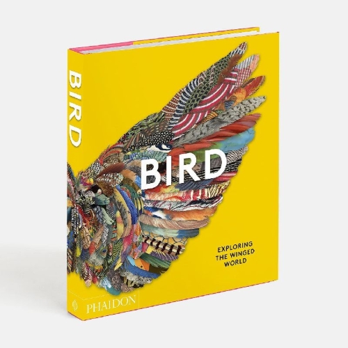Buchcover und Innenansicht für das Buch: Bird