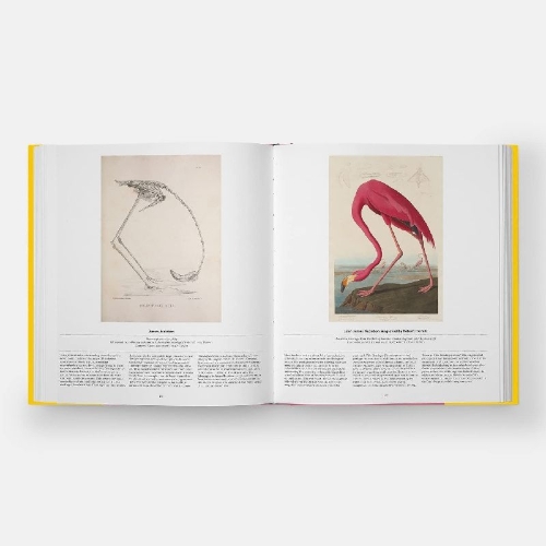 Buchcover und Innenansicht für das Buch: Bird