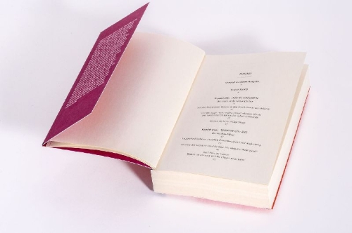 Buchcover und Innenansicht für das Buch: Beklaute Frauen
