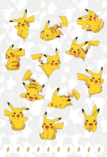 Buchcover und Innenansicht für das Buch: Pokémon: Mein großer Pokémon-Block
