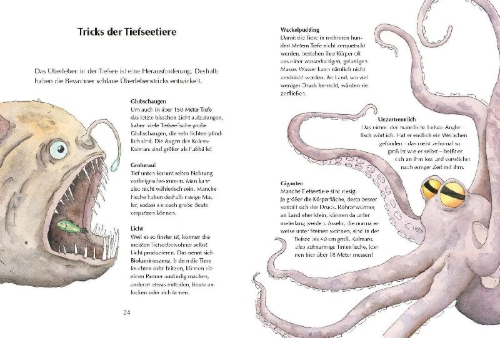 Buchcover und Innenansicht für das Buch: Alles klar! Der kleine Drache Kokosnuss erforscht die Ozeane