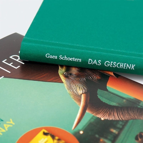 Buchcover und Innenansicht für das Buch: Het Geschenk