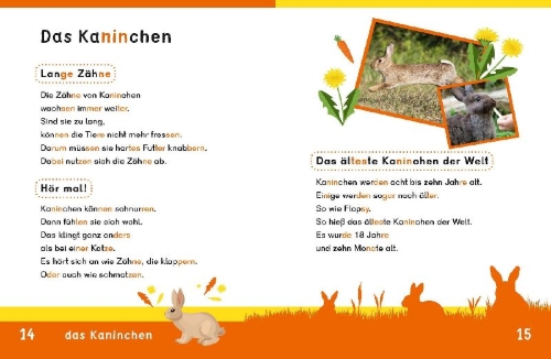 Buchcover und Innenansicht für das Buch: Dein Lesestart: Weißt du schon alles über Haustiere? Ab 1. Klasse