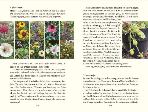 Buchcover und Innenansicht für das Buch: Bin im Garten