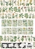 Buchcover und Innenansicht für das Buch: Flora
