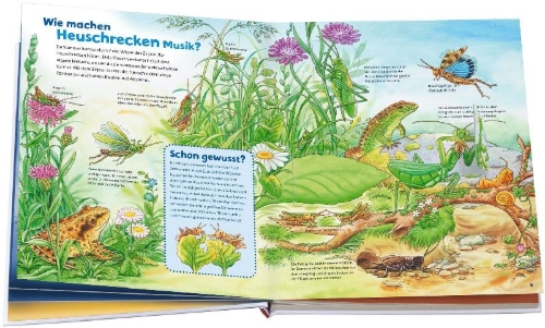 Buchcover und Innenansicht für das Buch: WAS IST WAS Junior Band 33. Insekten