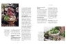 Buchcover und Innenansicht für das Buch: Viel Garten auf wenig Platz! Profi-Tipps für Problemzonen und kleine Flächen im Garten