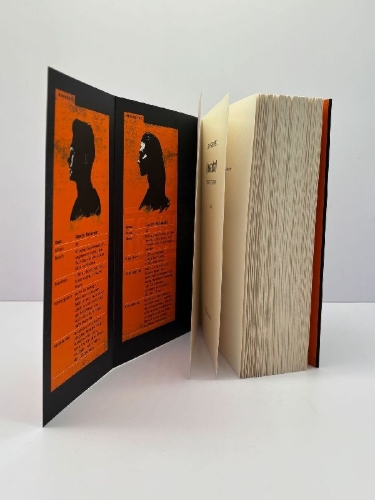 Buchcover und Innenansicht für das Buch: Ungelöst - Die erste Zeugin