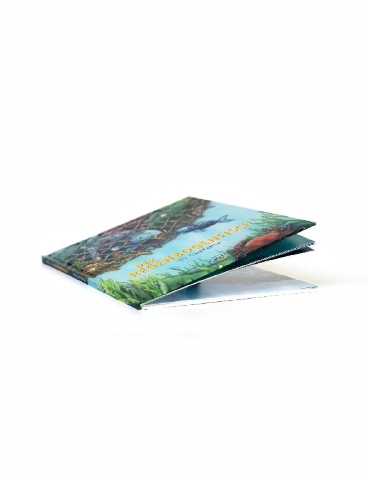Buchcover und Innenansicht für das Buch: Der Regenbogenfisch in Gefahr