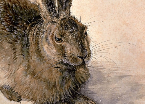 Buchcover und Innenansicht für das Buch: Albrecht Dürer
