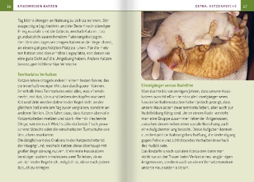 Buchcover und Innenansicht für das Buch: Grüne Hausapotheke für Katzen. Kompakt-Ratgeber