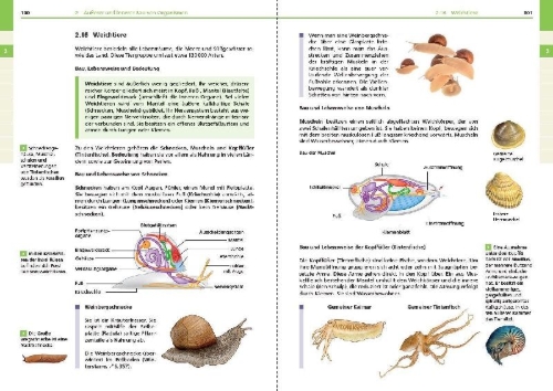 Buchcover und Innenansicht für das Buch: Basiswissen Schule - Biologie 5. bis 10. Klasse