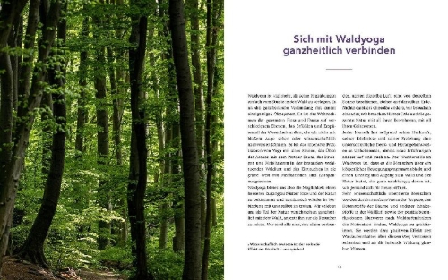 Buchcover und Innenansicht für das Buch: Waldyoga an Orten der Kraft