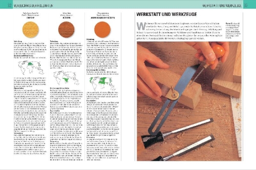 Buchcover und Innenansicht für das Buch: The Encyclopedia of Woodworking