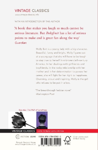 Buchcover und Innenansicht für das Buch: Rubyfruit Jungle