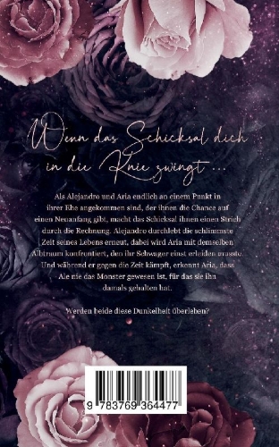 Buchcover und Innenansicht für das Buch: Mr. & Mrs. Rodríguez - Schatten der Vergangenheit