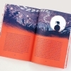 Buchcover und Innenansicht für das Buch: Brummps