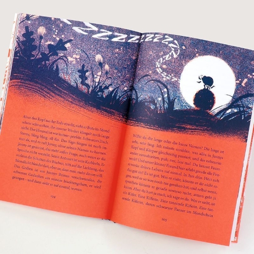 Buchcover und Innenansicht für das Buch: Brummps