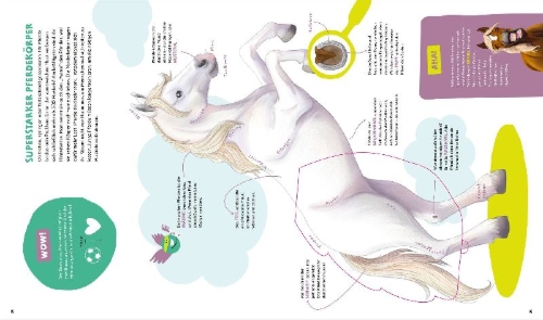 Buchcover und Innenansicht für das Buch: WAS IST WAS Kids Pferde und Ponys. Wild, stark und einfach toll!