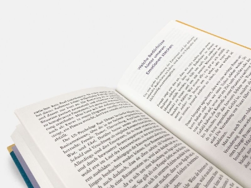 Buchcover und Innenansicht für das Buch: Erwachsen