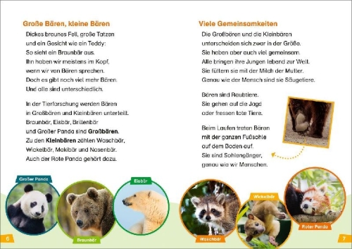 Buchcover und Innenansicht für das Buch: WAS IST WAS Erstes Lesen Band 26. Bären
