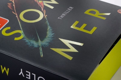 Buchcover und Innenansicht für das Buch: The Midnight Feast