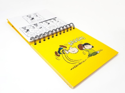 Buchcover und Innenansicht für das Buch: Peanuts. Freunde machen das Leben bunter (Tischaufsteller)