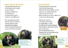 Buchcover und Innenansicht für das Buch: WAS IST WAS Erstes Lesen Band 22. Menschenaffen