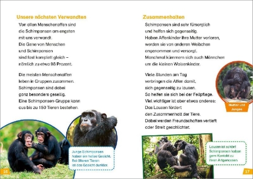 Buchcover und Innenansicht für das Buch: WAS IST WAS Erstes Lesen Band 22. Menschenaffen