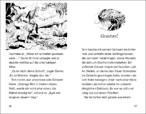 Buchcover und Innenansicht für das Buch: Beast Quest 41 - Nergato, der Nebelteufel