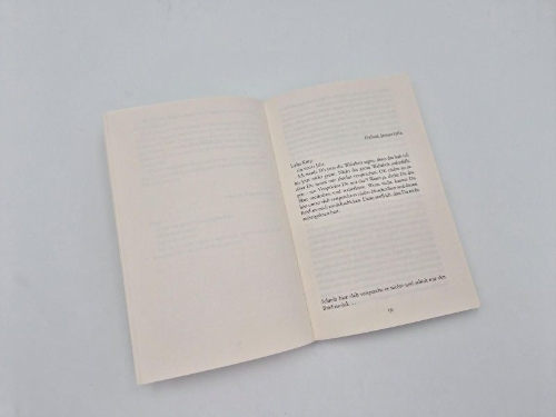 Buchcover und Innenansicht für das Buch: The Usual Desire to Kill