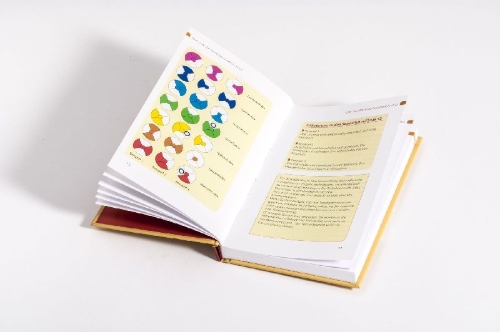 Buchcover und Innenansicht für das Buch: Chakras