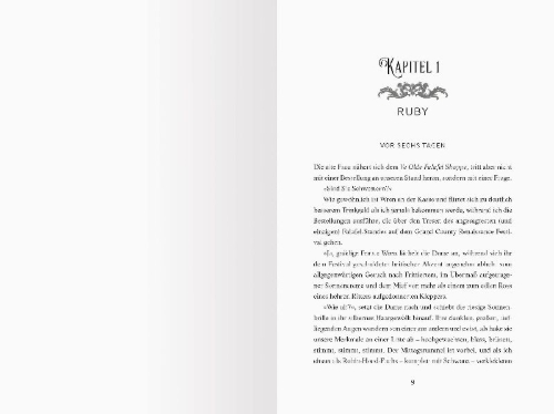 Buchcover und Innenansicht für das Buch: The Lies we conjure
