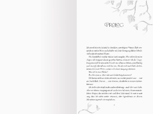 Buchcover und Innenansicht für das Buch: Jewel & Blade, Band 2 - Die Hüter von Camelot