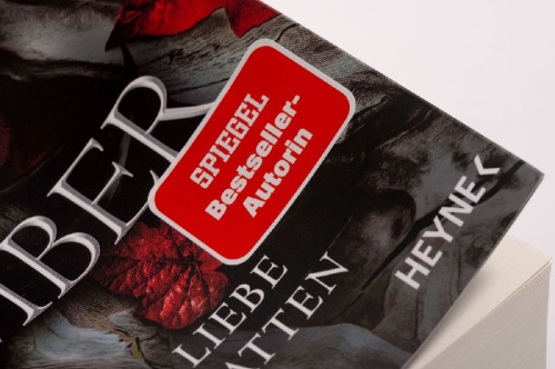 Buchcover und Innenansicht für das Buch: A Shadow in the Ember