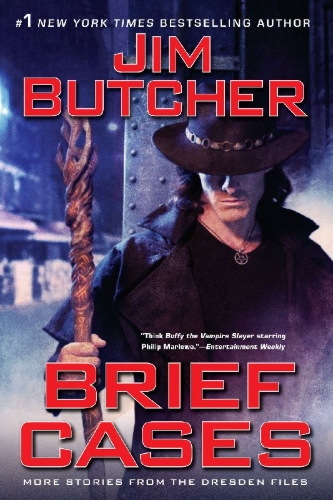 Buchcover und Innenansicht für das Buch: Brief Cases