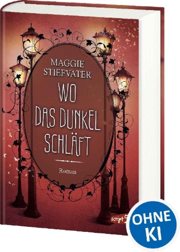Buchcover und Innenansicht für das Buch: Raven Boys 4