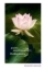 Buchcover und Innenansicht für das Buch: Meditations