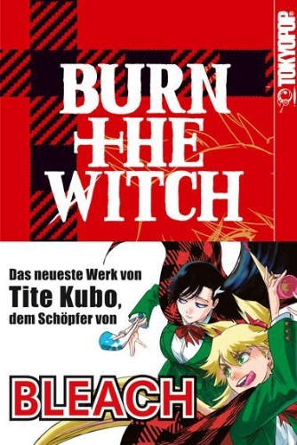 Buchcover und Innenansicht für das Buch: Burn The Witch 01
