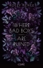 Buchcover und Innenansicht für das Buch: Where Bad Boys are Ruined