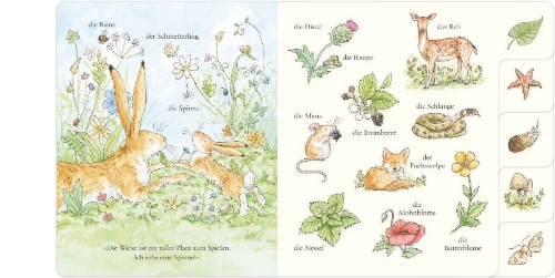 Buchcover und Innenansicht für das Buch: Guess how much I love You - Out and About in 100 Words