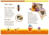 Buchcover und Innenansicht für das Buch: Dein Lesestart: Weißt du schon alles über Bienen? Ab 1. Klasse