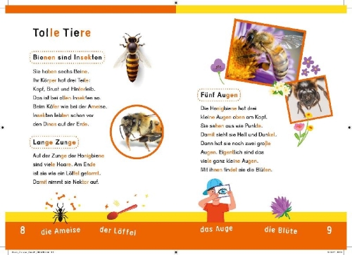 Buchcover und Innenansicht für das Buch: Dein Lesestart: Weißt du schon alles über Bienen? Ab 1. Klasse